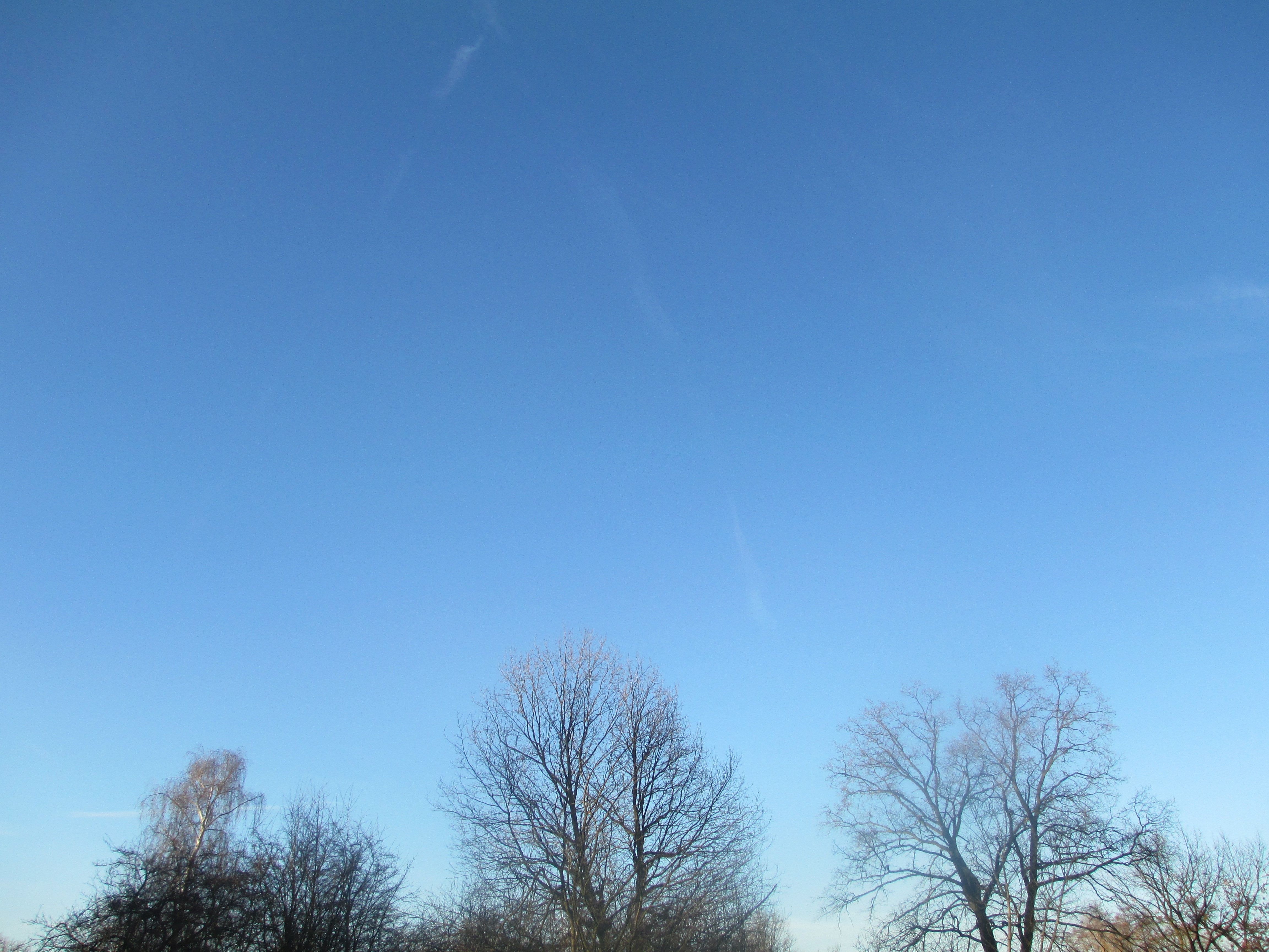 Oteplování, o víkendu bude o téměř 15°C více než o Velikonocích